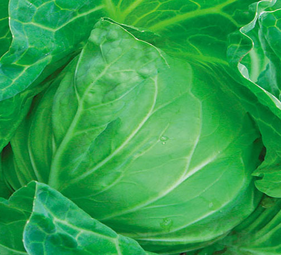 �н�����-���{(l��n)�N��-�н��N�I(y��)