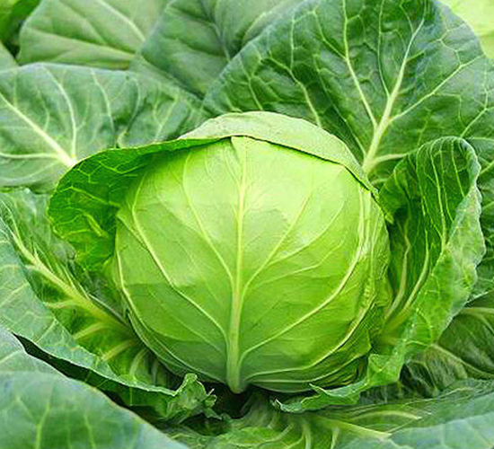 �K��25-���{(l��n)�N��-�н��N�I(y��)