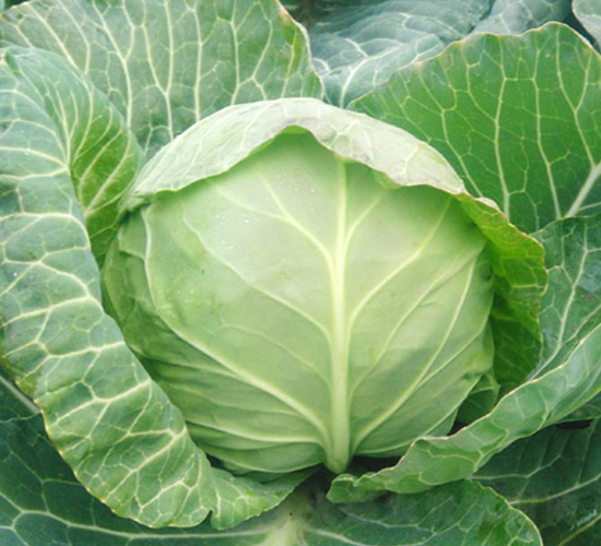 �K��35-���{(l��n)�N��-�н��N�I(y��)