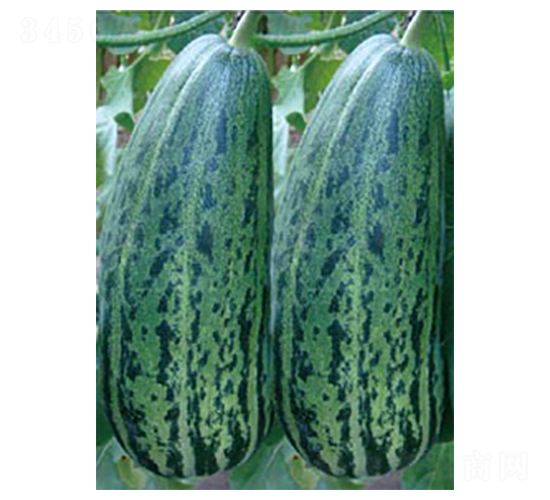 ����ʮ̖(h��o)-��ϷN��-�߶˷N�I(y��)