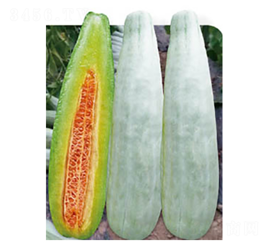 �߮a(ch��n)��Ǵ�-��ϷN��-�߶˷N�I(y��)