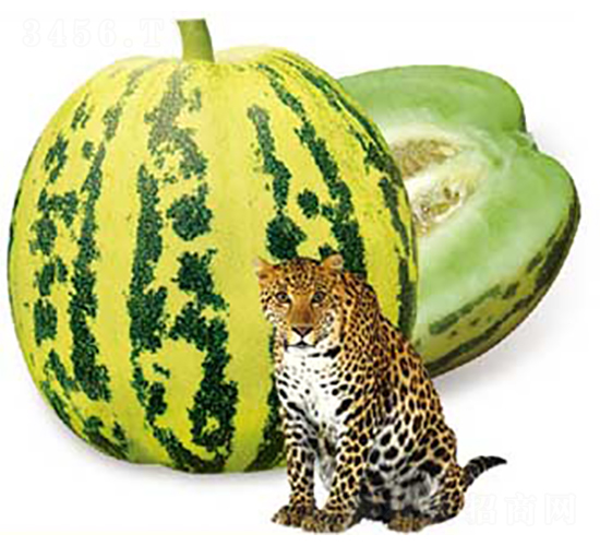 ���x����-��ϷN��-�߶˷N�I(y��)