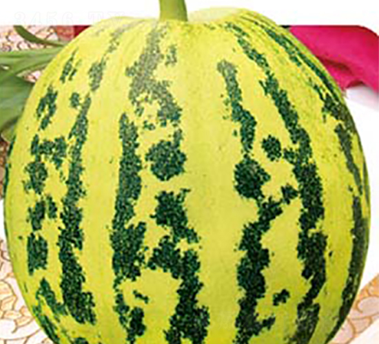 ���x����-��ϷN��-�߶˷N�I(y��)