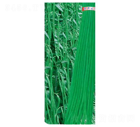 �߮a(ch��n)�L��-���ǷN��-�߶˷N�I(y��)