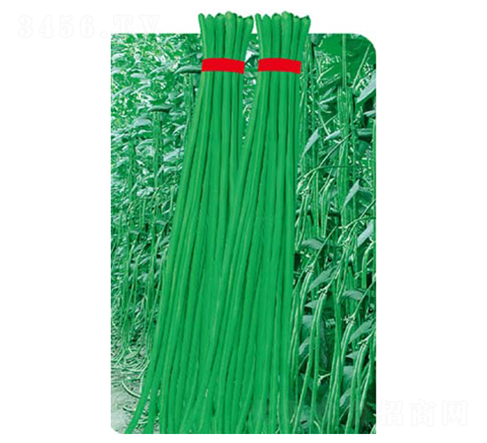 ��(sh��)���L��-���ǷN��-�߶˷N�I(y��)