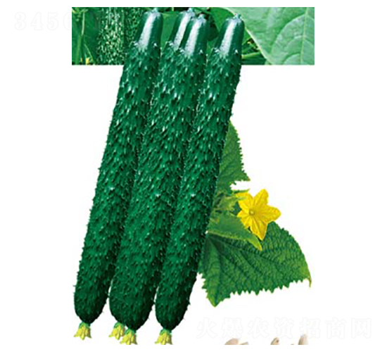 ���S58-�S�ϷN��-�߶˷N�I(y��)