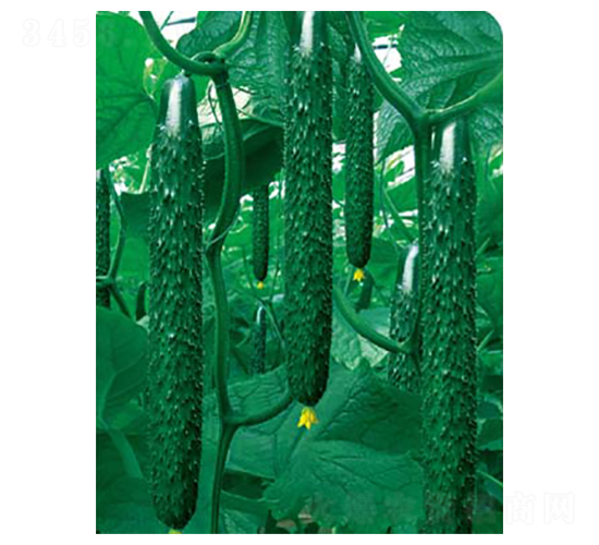 ���x����188-�S�ϷN��-�߶˷N�I(y��)