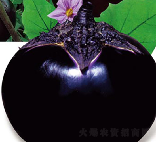 ���µ�һ������-���ӷN��-�߶˷N�I(y��)