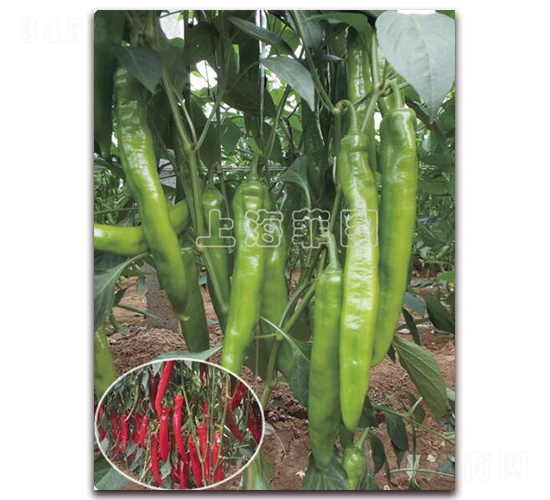 �t��712-�����N��-�ƈD�N�I(y��)