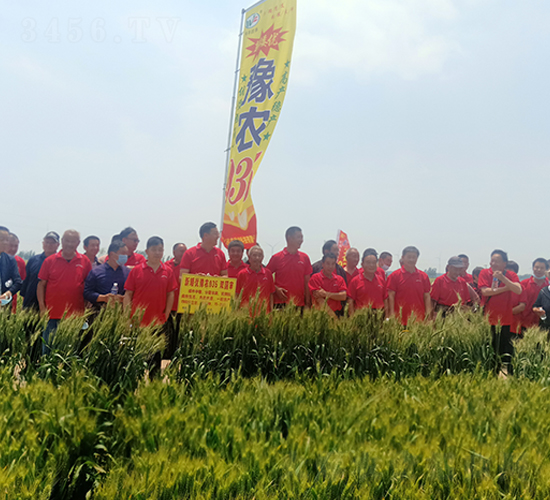 ԥ�r(n��ng)035-С���N��-���S�N�I(y��)