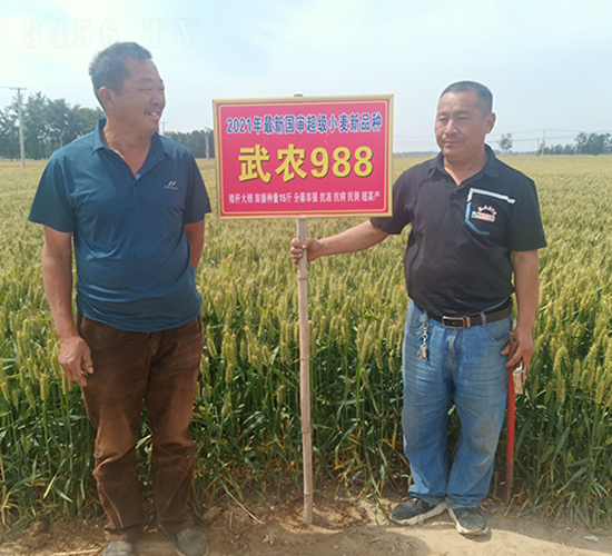 2021���������С����Ʒ�N���r(n��ng)988