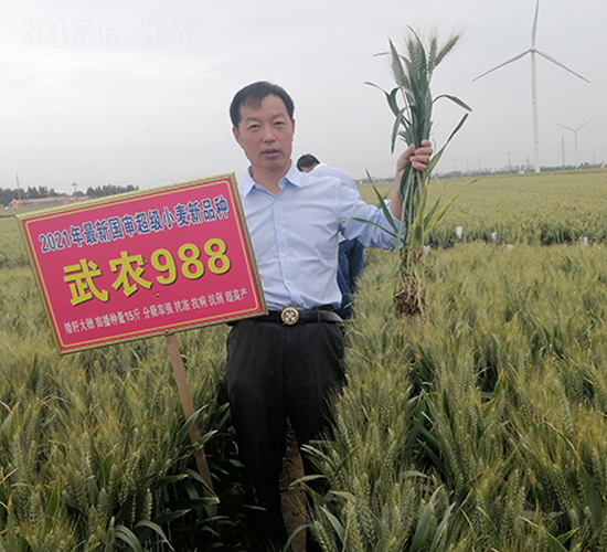 ���S�N�I(y��)���r(n��ng)988С���N��