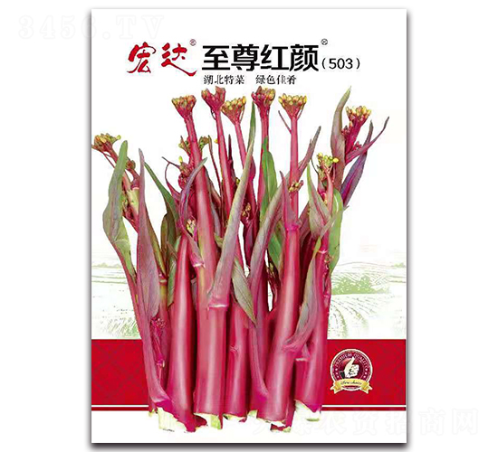 ����t�503-�ײ˷N��-���_