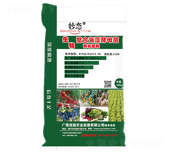 �����ЙC(j��)��-��B(t��i)-��(r��n)���r(n��ng)�I(y��)