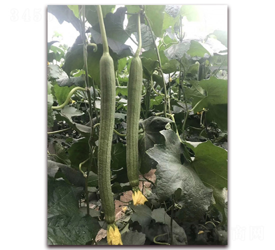 �оG���-�z�ϷN��-�A�~�N�I(y��)