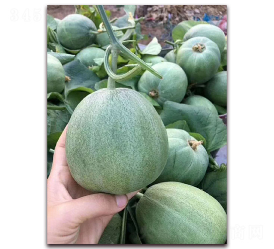 ��ϷN��-�A�~�N�I(y��)