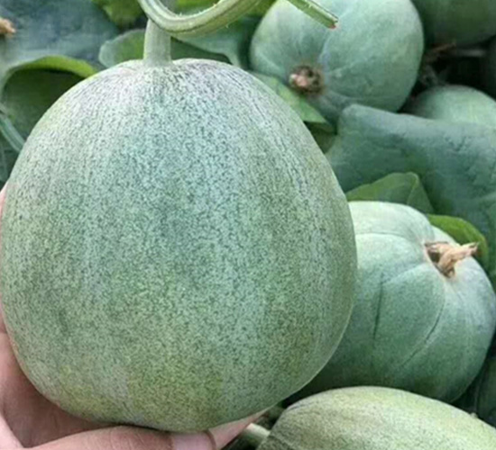 �G��-��ϷN��-�A�~�N�I(y��)