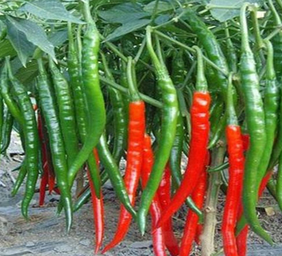 ����һ̖(h��o)����-�����N��-�A�~�N�I(y��)