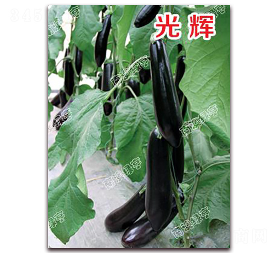 ���x-���ӷN��-�ϰľG��