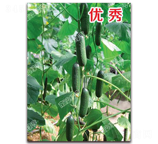 ��(y��u)��-С�S�ϷN��-�ϰľG��