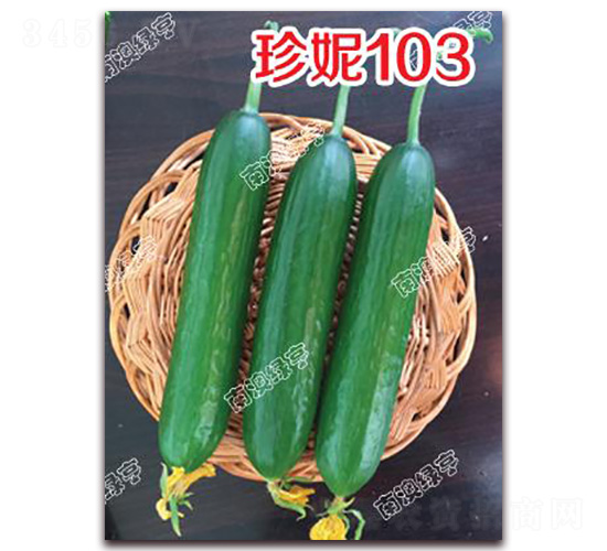 ����103-С�S�ϷN��-�ϰľG��