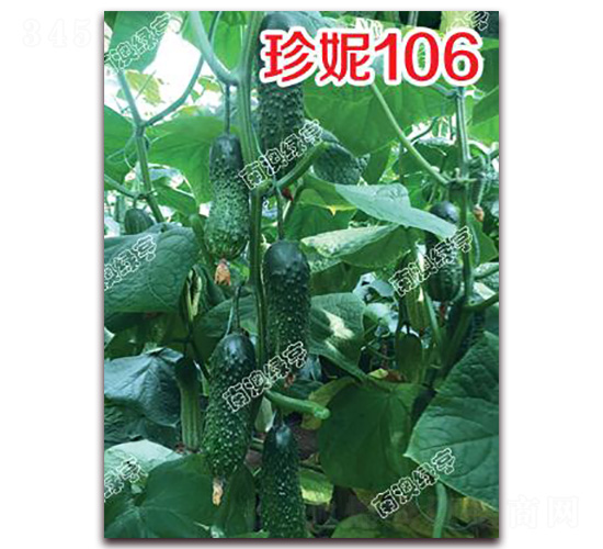 ����106-С�S�ϷN��-�ϰľG��