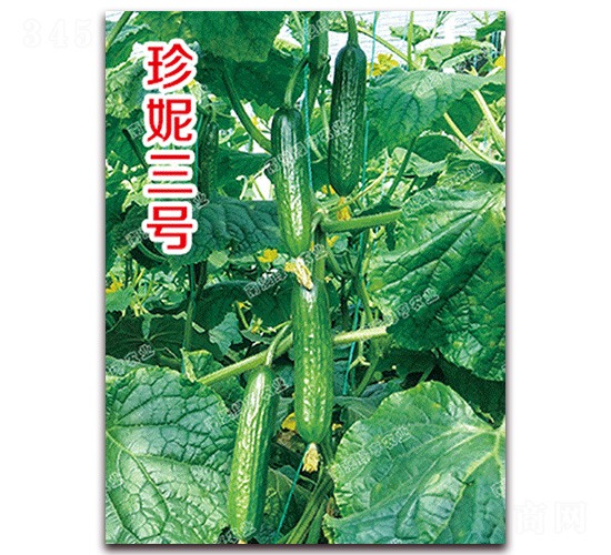 ������̖-С�S�ϷN��-�ϰľG��