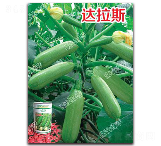 �_(d��)��˹-�����J�N��-�ϰľG��