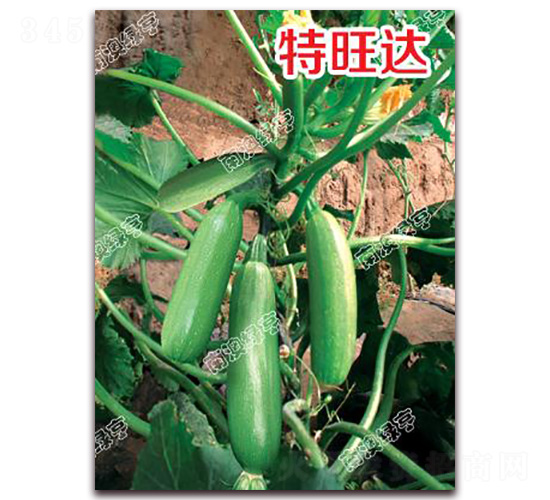 �����_-�����J�N��-�ϰľG��