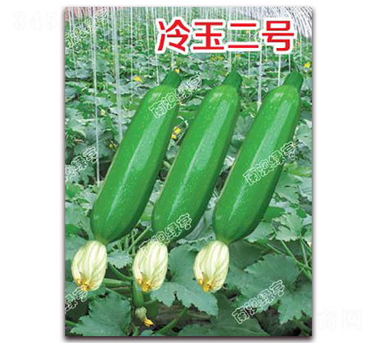 �����̖(h��o)-�����J�N��-�ϰľG��