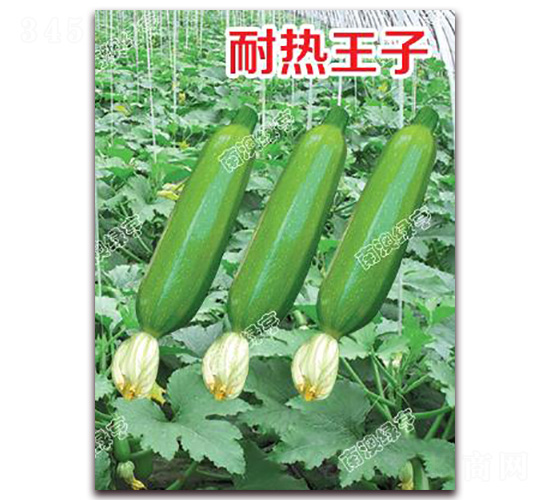 �͟�����-�����J�N��-�ϰľG��