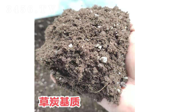 ��̿���|(zh��)-����r(n��ng)�I(y��)