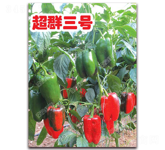 ��Ⱥ��̖-�𽷷N��-�ϰľG��