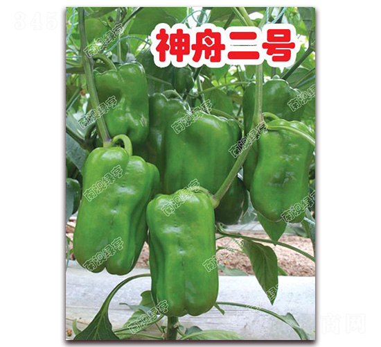 ���۶�̖-�𽷷N��-�ϰľG��