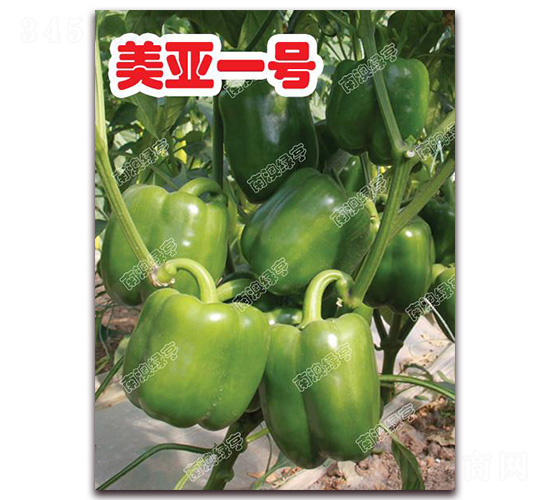 ����һ̖(h��o)-�𽷷N��-�ϰľG��