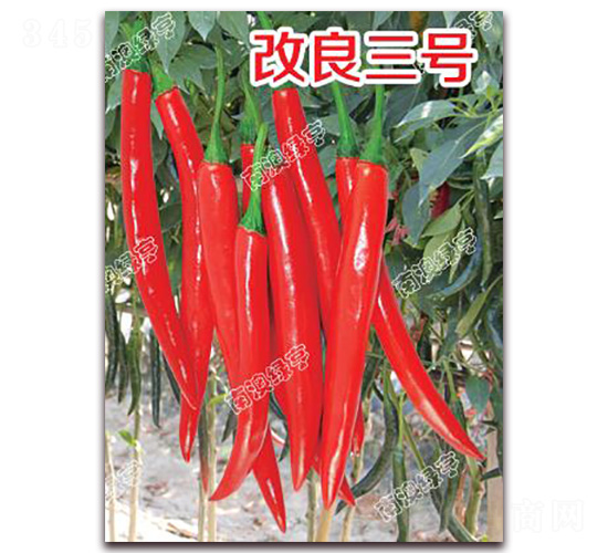 ������̖(h��o)-�⽷�N��-�ϰľG��