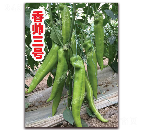 �㎛��̖(h��o)-�⽷�N��-�ϰľG��