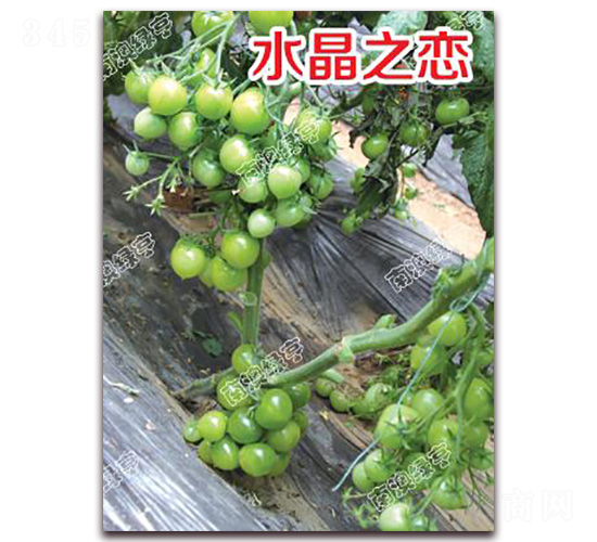 ˮ��֮��-��ɫ���ѷN��-�ϰľG��