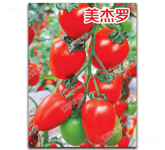 �����_-��ɫ���ѷN��-�ϰľG��