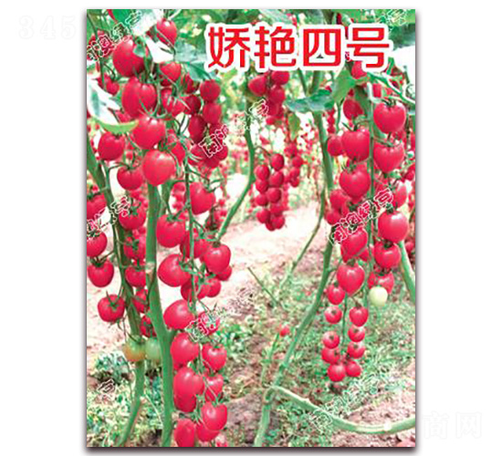 ���G��̖(h��o)-���ҷ��ѷN��-�ϰľG��