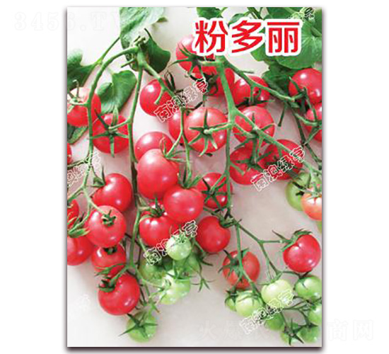 �۶���-���ҷ��ѷN��-�ϰľG��