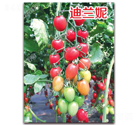 ���m��-���ҷ��ѷN��-�ϰľG��