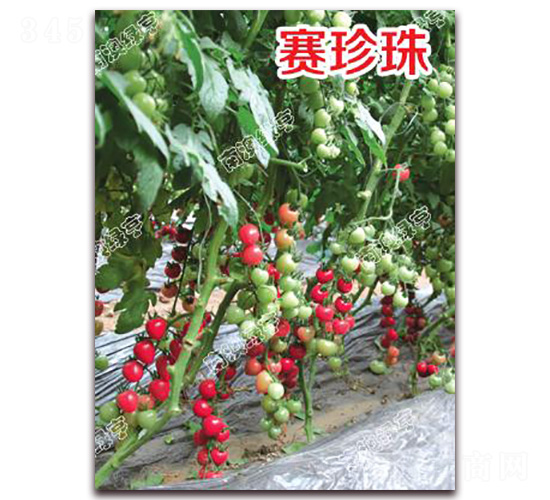 ِ����-���ҷ��ѷN��-�ϰľG��