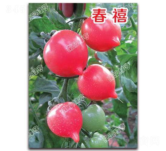 ����-���ҷ��ѷN��-�ϰľG��