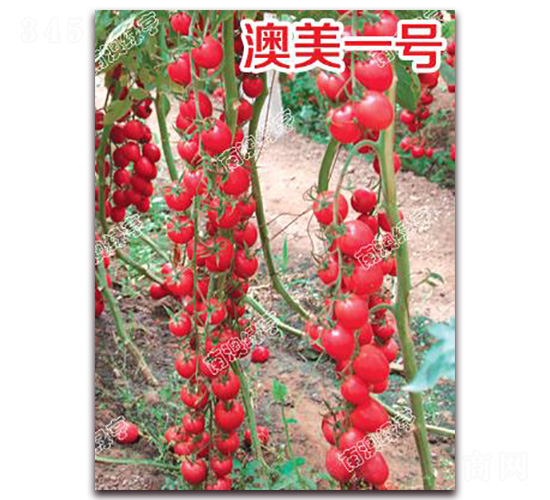 ����һ̖(h��o)-���ҷ��ѷN��-�ϰľG��