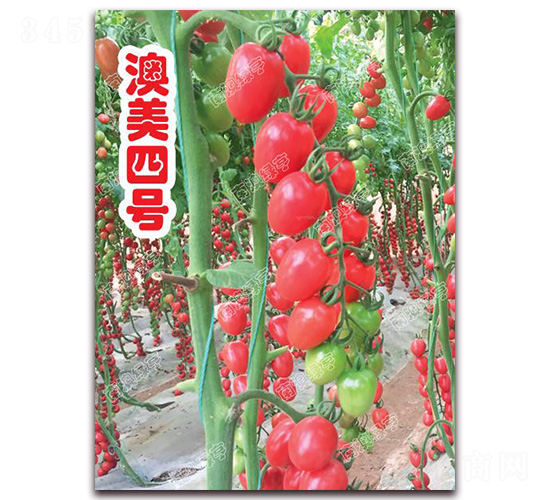 ������̖-���ҷ��ѷN��-�ϰľG��