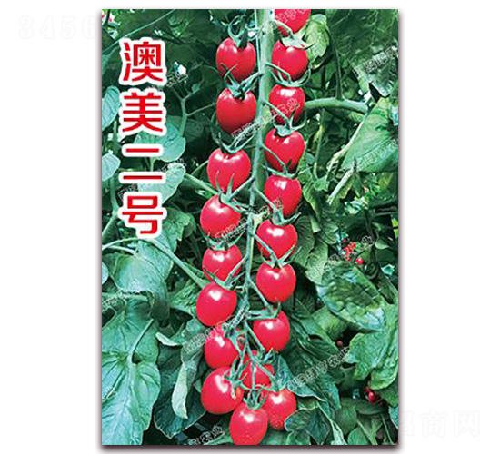 ������̖-���ҷ��ѷN��-�ϰľG��