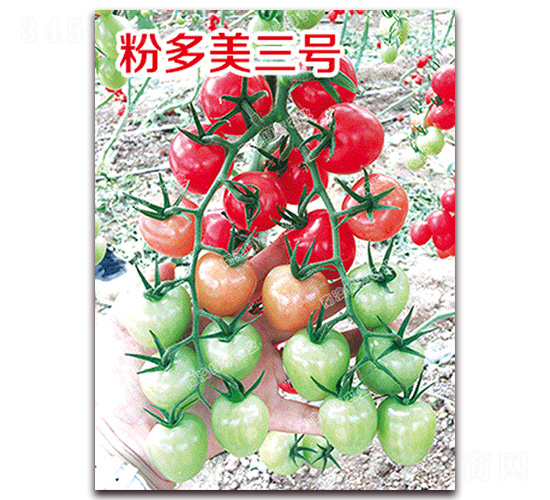 �۶�����̖(h��o)-���ҷ��ѷN��-�ϰľG��