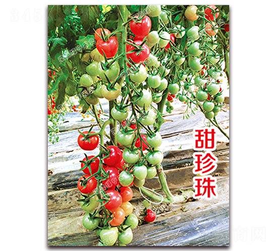 ������-���ҷ��ѷN��-�ϰľG��