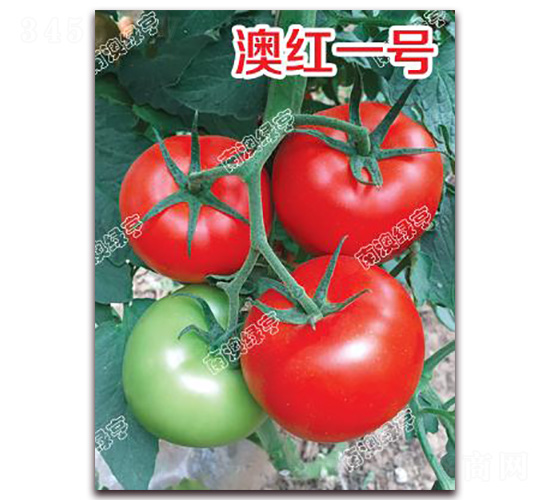 �ļtһ̖-��t���ѷN��-�ϰľG��